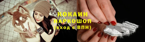 соль ск Алексин