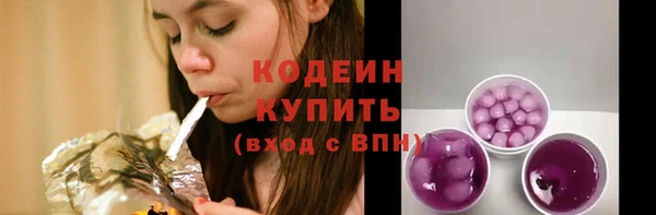 индика Инсар