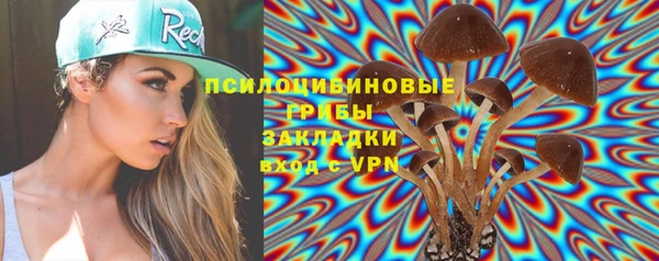 соль ск Алексин